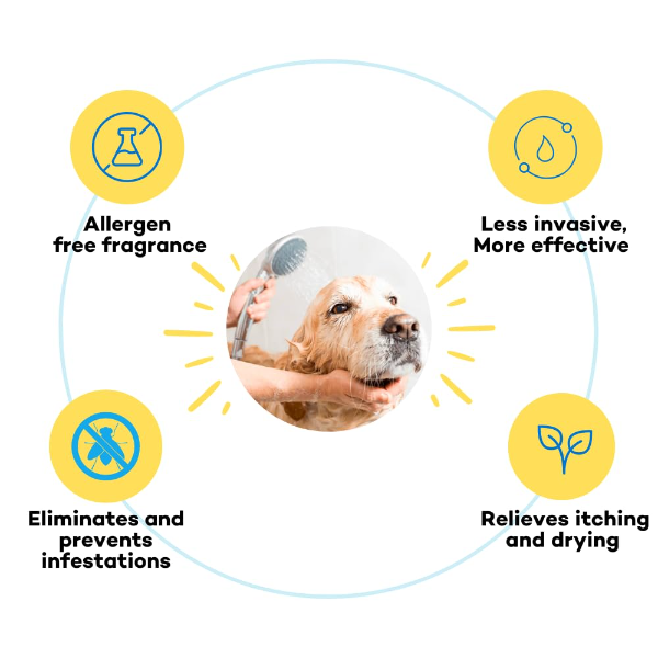 Anti Tick Shampoo for Dogs with Eucalyptus & Lemongrass Oil Flea and Tick Dog Shampoo 500ml - Image 3