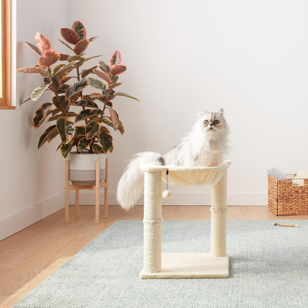 Cat tree hammock with stable base designed for indoor cats and kittens to scratch play and rest comfortably