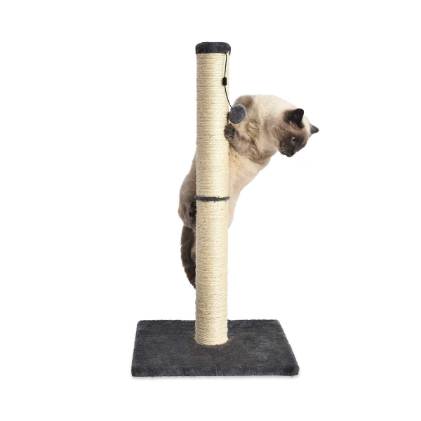 Cat tree furniture featuring replaceable dangle toy and stable construction for interactive indoor cat play sessions