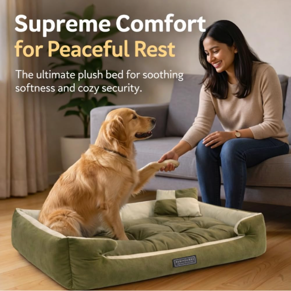 Velvet Dog Bed showing soft velvet surface with supportive pillow for large to X-large dogs resting comfortably