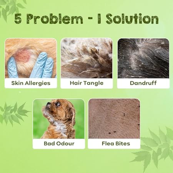 Pil Herbal Pet Shampoo with natural extracts and oils for hair detangling and healthy looking coats
