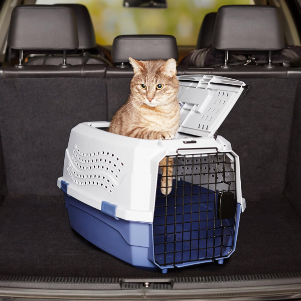 Top load pet kennel featuring reinforced construction with secure fastening points for additional stability