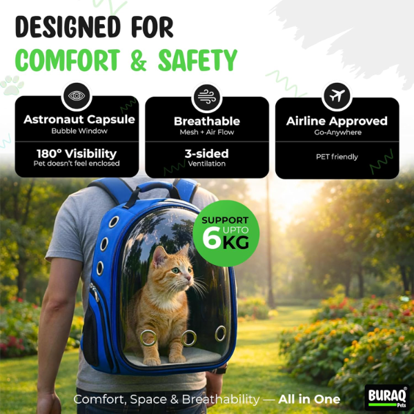 Astronaut pet carrier backpack showing large viewing window and multiple ventilation holes for pet comfort