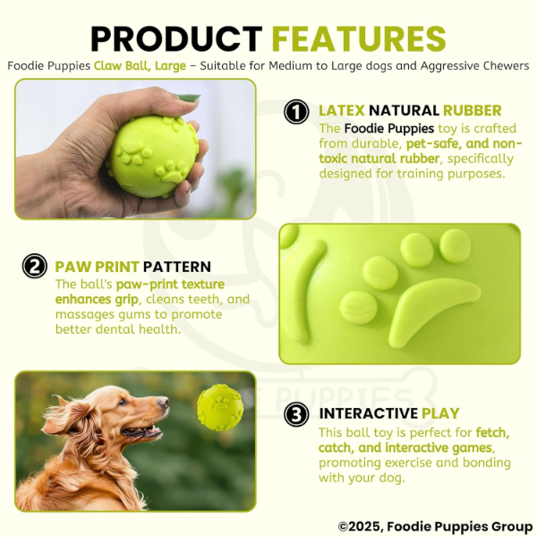 Squeaky Dog Ball made from natural latex rubber with soft texture for interactive dog play sessions