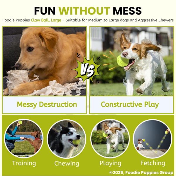 Squeaky Dog Ball with paw design helping clean teeth during chewing and active play for dogs
