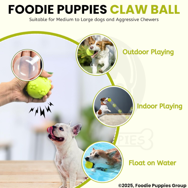 Squeaky Dog Ball durable latex fetch toy suitable for medium to large dogs during supervised play