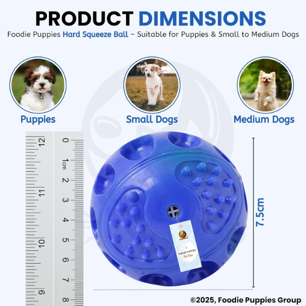 Durable squeaky dog ball toy with soft-touch latex rubber for fetch and interactive dog play