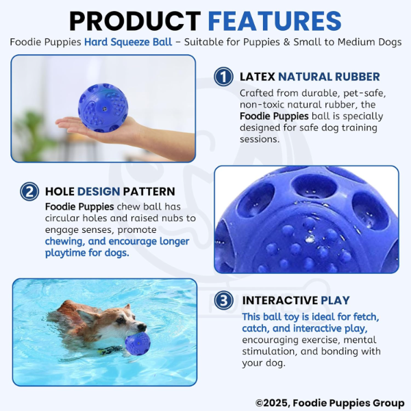 Water resistant squeaky dog ball toys for puppies and small to medium dogs during active play
