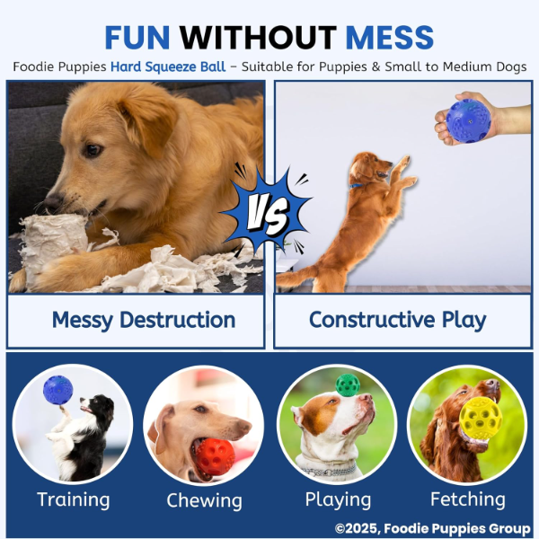 Lightweight squeaky dog ball toy pack of two for fetch, chewing and supervised puppy play sessions