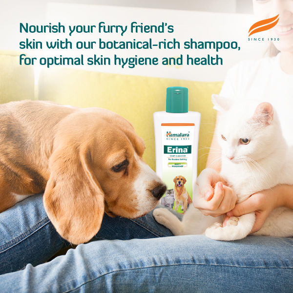 Himalaya Erina Dog Coat Cleanser highlighting neem based herbal formula for regular dog bathing routine