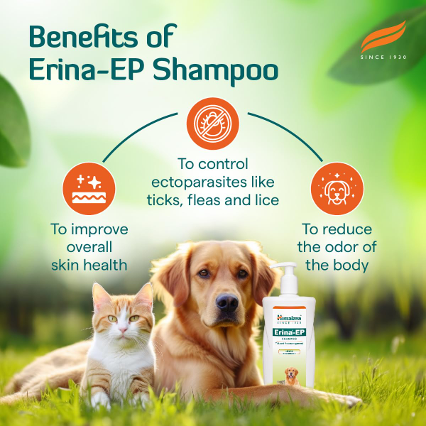 Himalaya Tick Flea Shampoo Himalaya Erina-EP for dogs and cats supporting skin hygiene with herbal ingredients