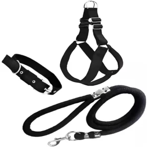 No pull dog harness and leash set designed for small and medium dogs for everyday walks