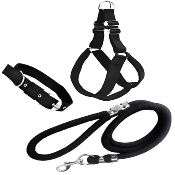No pull dog harness and leash set designed for small and medium dogs for everyday walks