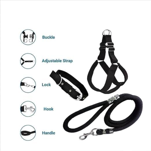 Adjustable no pull dog harness and leash set for small and medium breed dogs outdoors