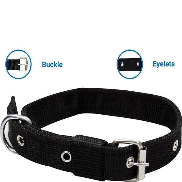 Step-in no pull dog harness with leash for small and medium dogs during walks