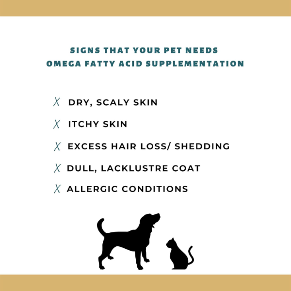 PET360 Salmon Fish Oil for Dogs & Cats nutritional supplement supporting itch control and healthier coat appearance