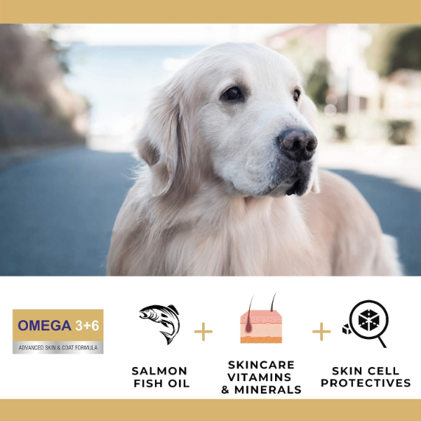 PET360 Salmon Fish Oil for Dogs & Cats with taurine vitamins and minerals for daily pet wellness support