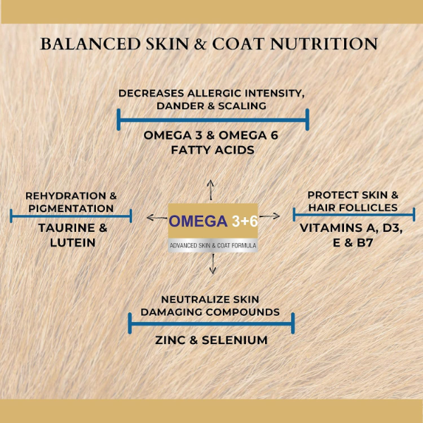 PET360 Salmon Fish Oil for Dogs & Cats daily omega supplement promoting healthy skin and coat condition
