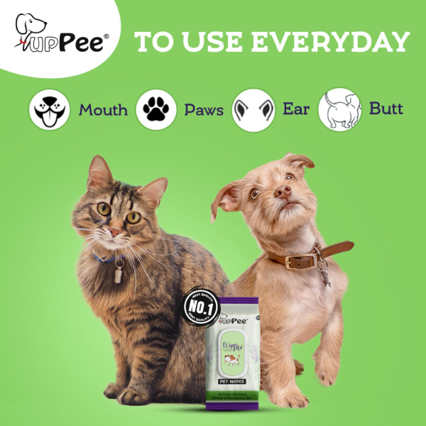 Biodegradable Pet Wipes canister with anti-bacterial cleansing formula for dogs cats and everyday pet hygiene